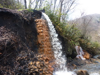 P1030942.jpg