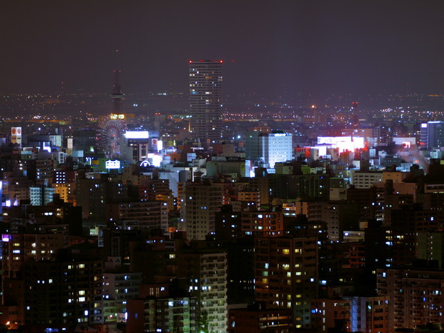 P10401590.jpg