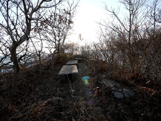 P1050441.jpg