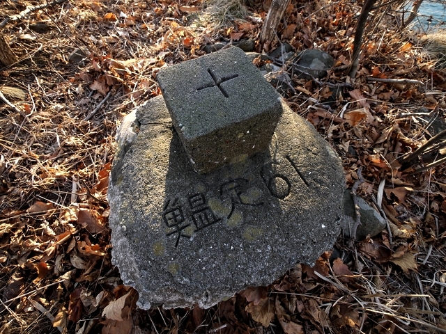 P1050442.jpg