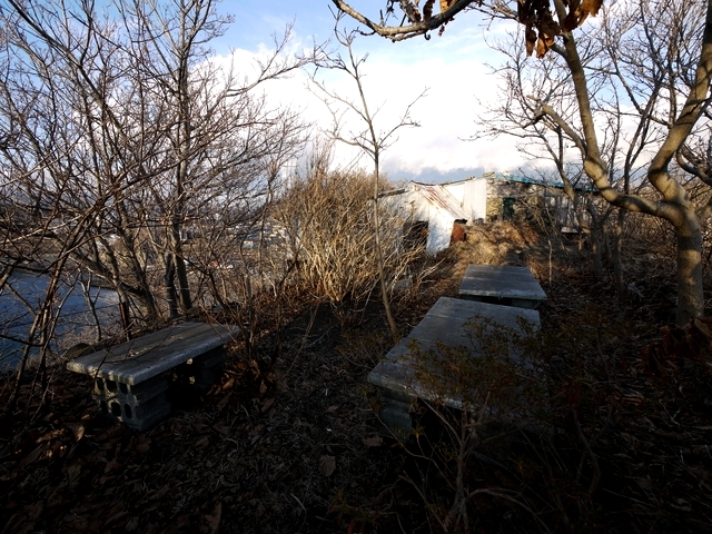 P1050445.jpg