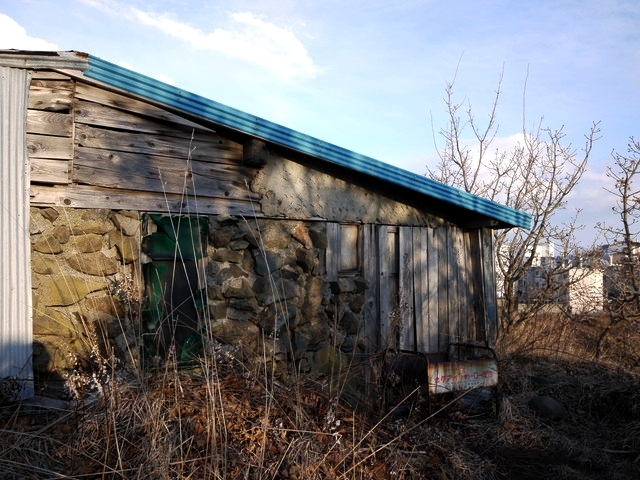 P1050448.jpg