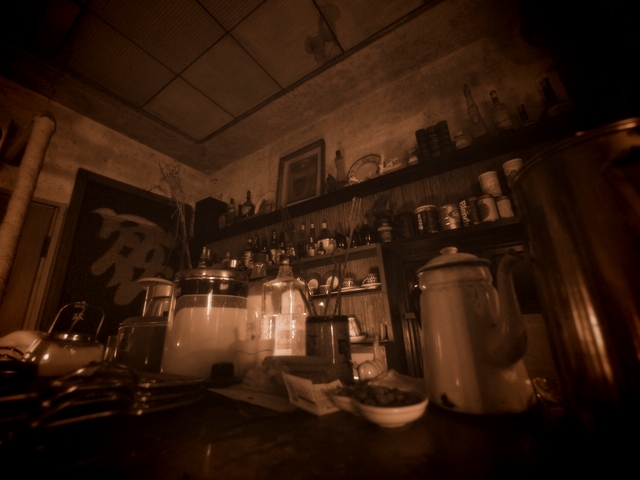 P1050463.jpg