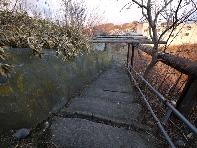 P1050467.jpg