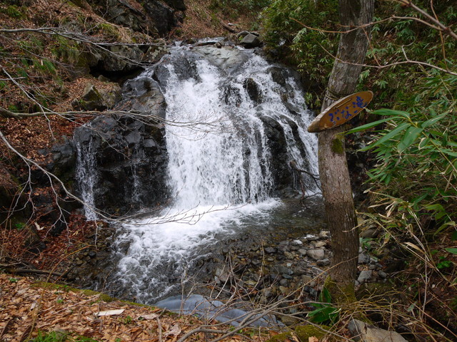 P1080459a.jpg