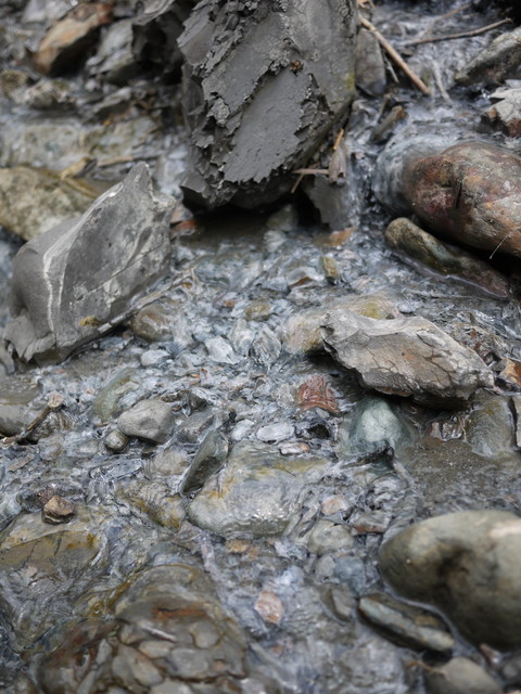 P1090714.jpg