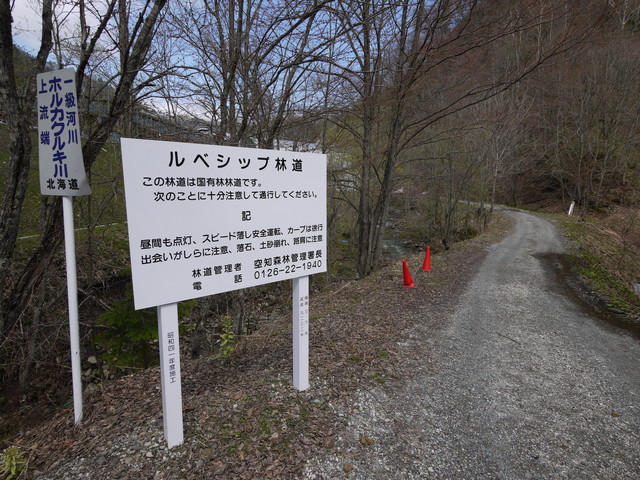 P1090754a.jpg