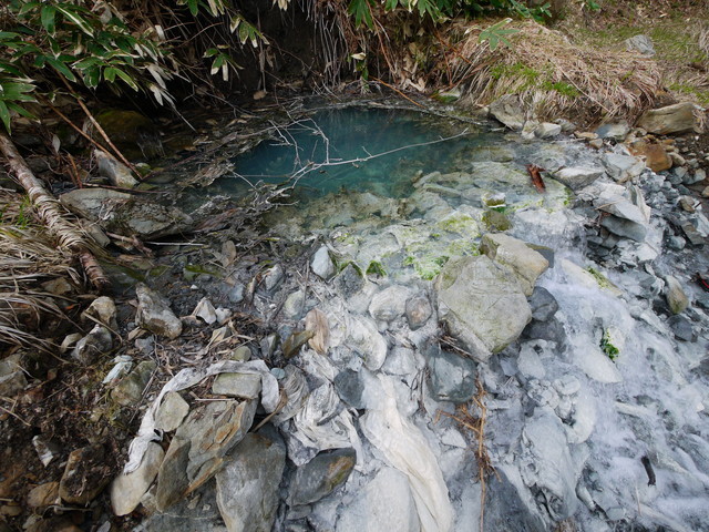 P1090755a.jpg