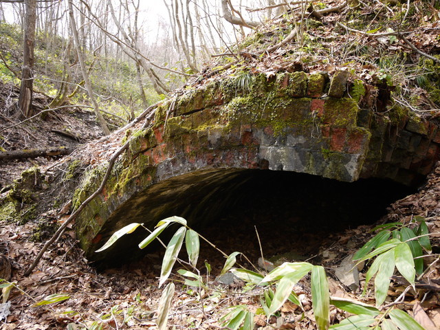P1090759a.jpg