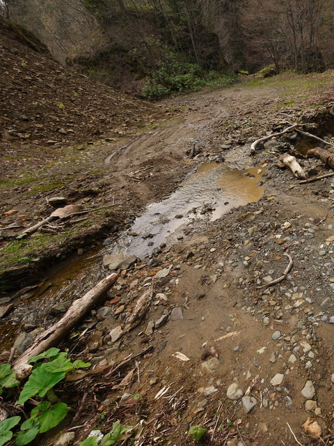 P1090761a.jpg
