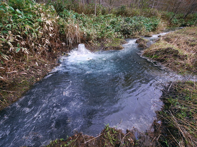 P1090765a.jpg