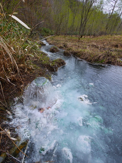 P1090766.jpg