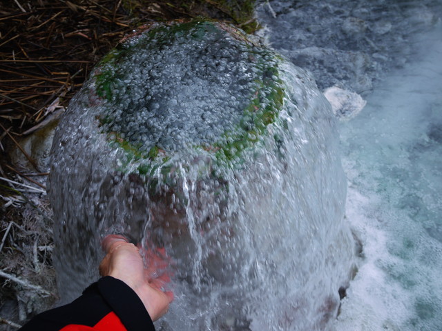 P1090771a.jpg