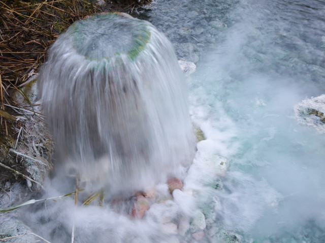 P1090773a.jpg