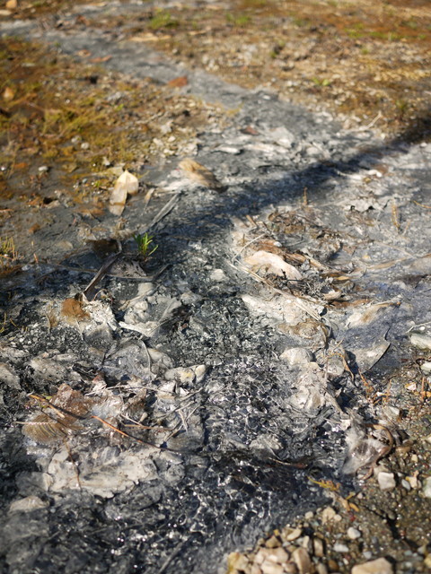 P10908280.jpg