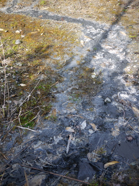 P10908380.jpg