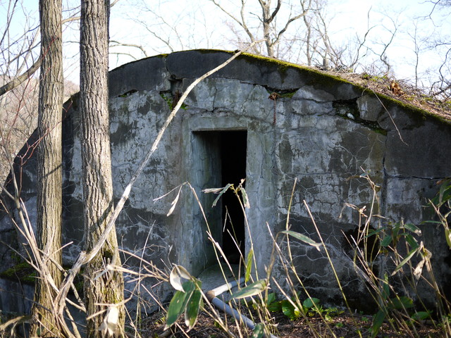 P1090917a.jpg