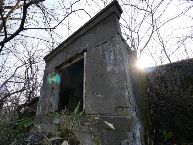 P1090932a.jpg