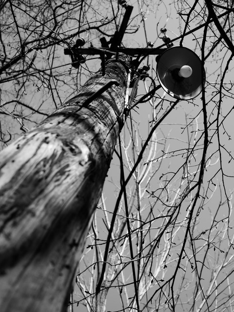 P1090940a.jpg