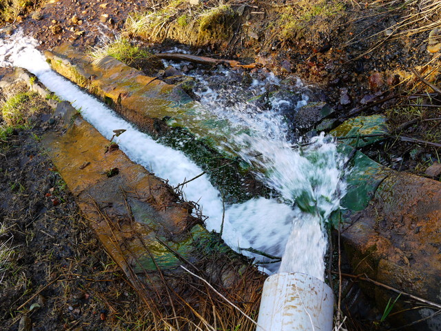 P10909530.jpg