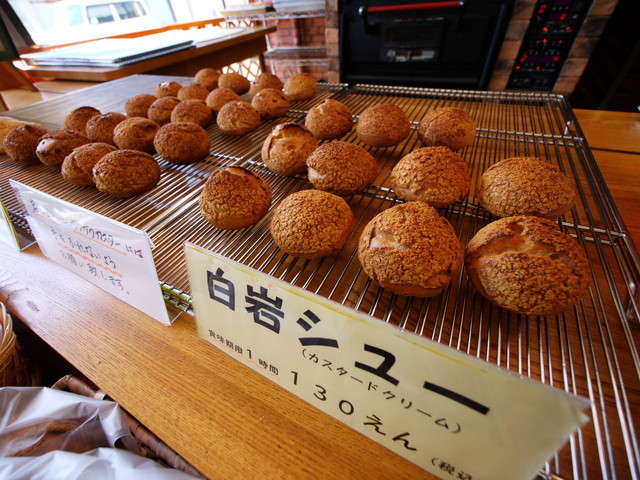 P1100564a.jpg