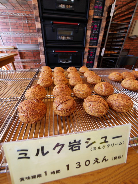 P1100565a.jpg