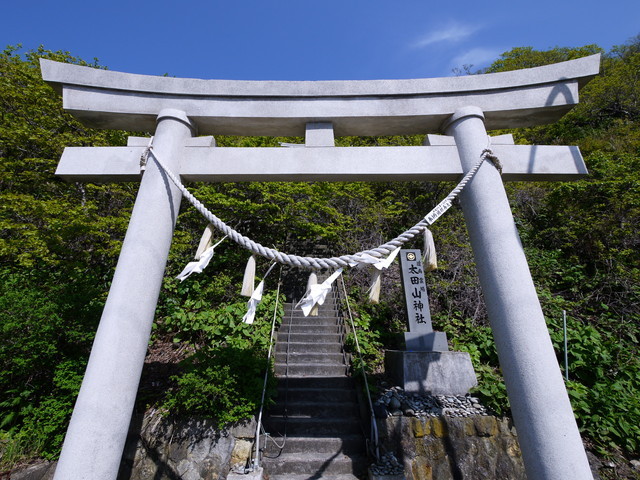 P1100581a.jpg