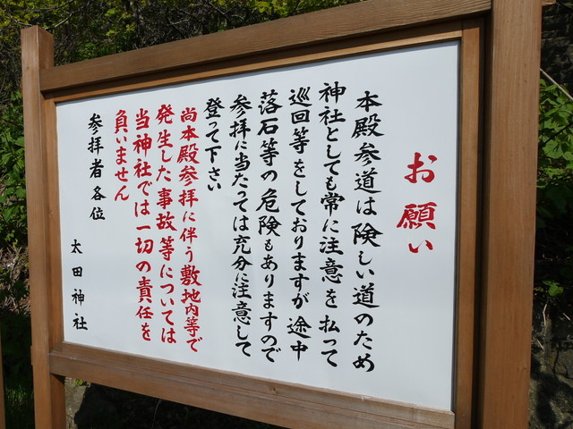 P1100583a.jpg