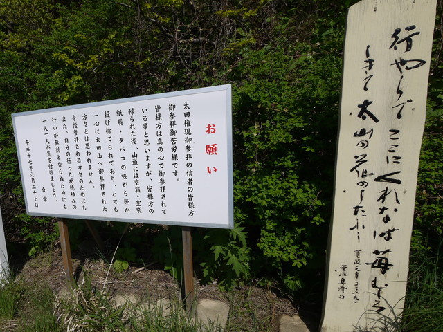 P1100587a.jpg