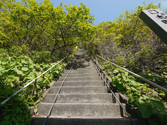 P1100589a.jpg