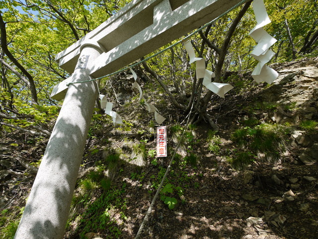 P1100591.jpg