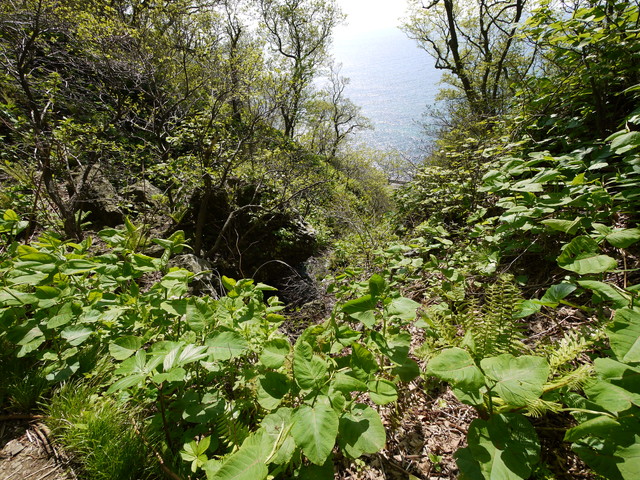 P1100599.jpg