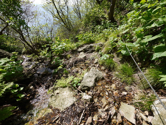 P1100601.jpg