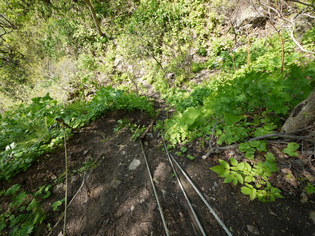 P1100606.jpg