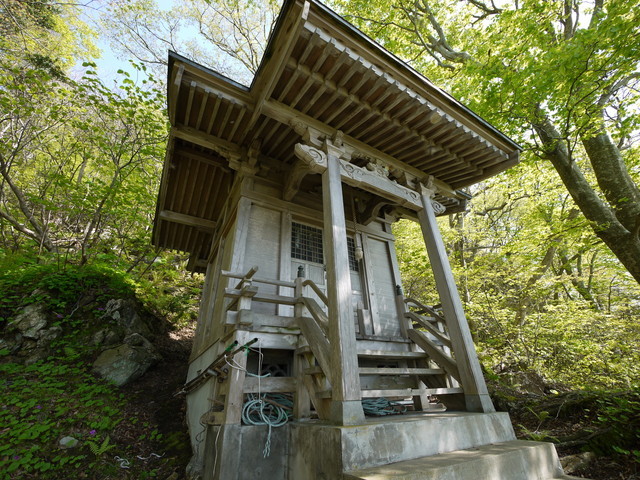 P1100617.jpg