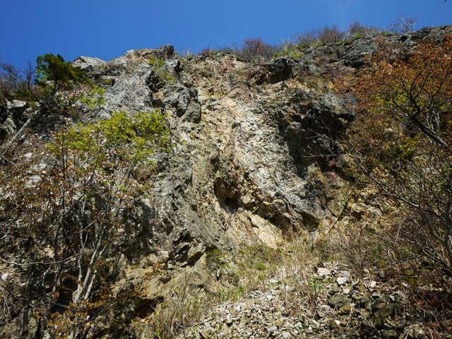 P1100636a.jpg