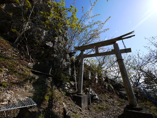 P1100637a.jpg