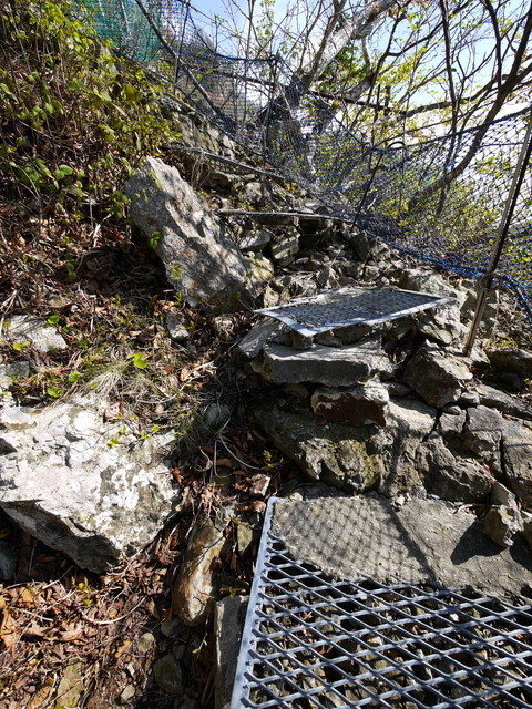 P1100641a.jpg