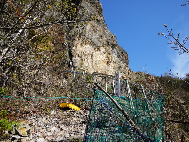 P1100642a.jpg