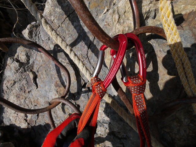 P1100661a.jpg