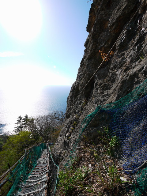 P1100678a.jpg