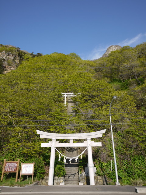 P1100716.jpg