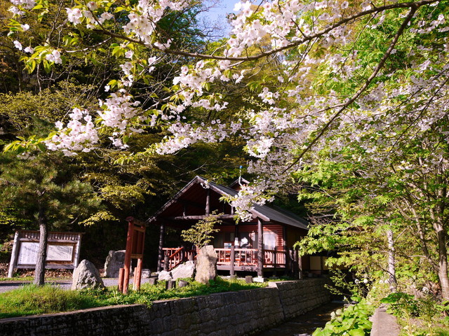 P1100726a.jpg