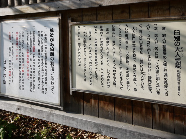 P1100729a.jpg