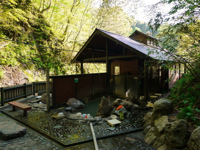 P1100739a.jpg