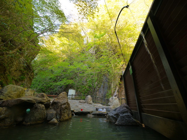 P1100752a.jpg