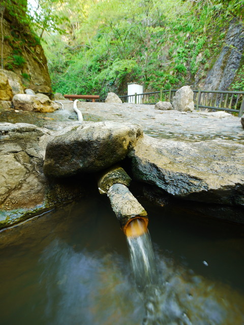P1100771a.jpg