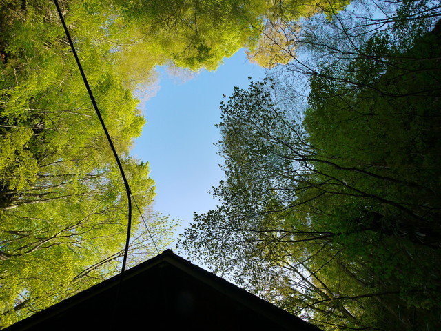 P1100811a.jpg