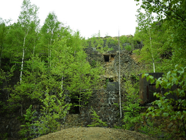 P1110039a.jpg