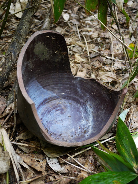P1110043a.jpg